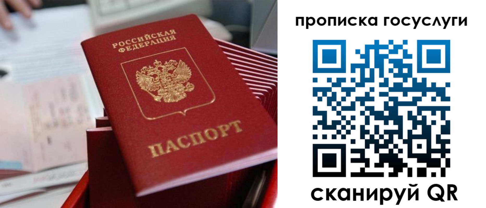 прописка законно в Приморско-Ахтарске